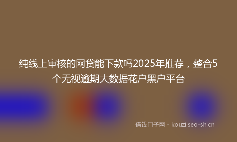 纯线上审核的网贷能下款吗2025年推荐，整合5个无视逾期大数据花户黑户平台