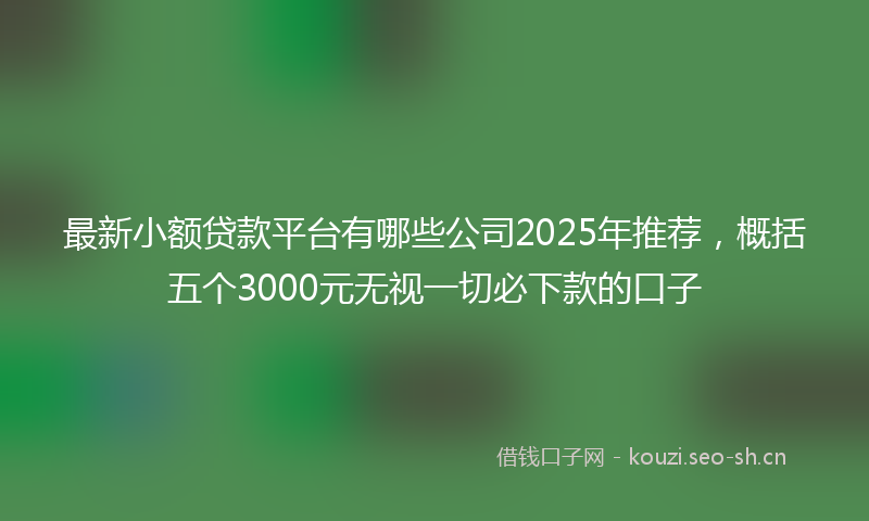最新小额贷款平台有哪些公司2025年推荐，概括五个3000元无视一切必下款的口子