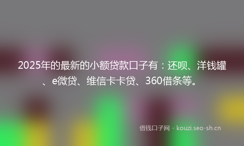 2025年的最新的小额贷款口子有：还呗、洋钱罐、e微贷、维信卡卡贷、360借条等。