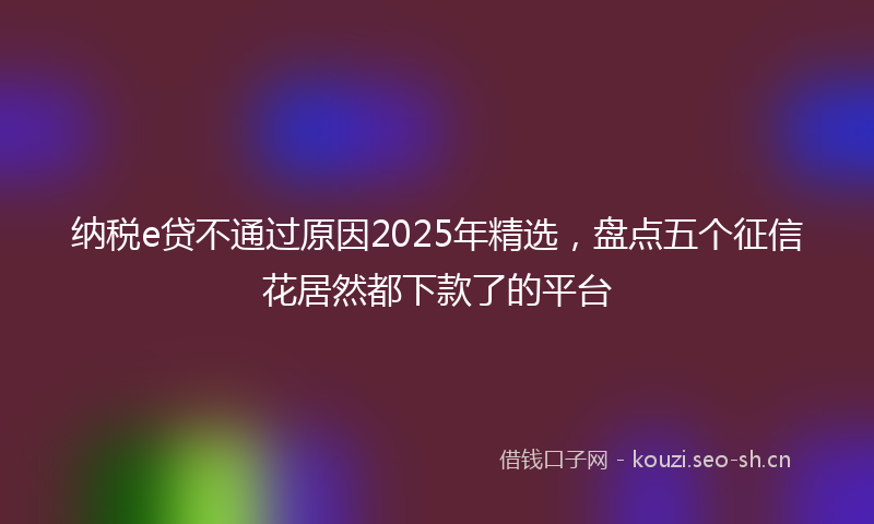 纳税e贷不通过原因2025年精选，盘点五个征信花居然都下款了的平台