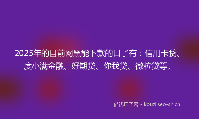 2025年的目前网黑能下款的口子有：信用卡贷、度小满金融、好期贷、你我贷、微粒贷等。