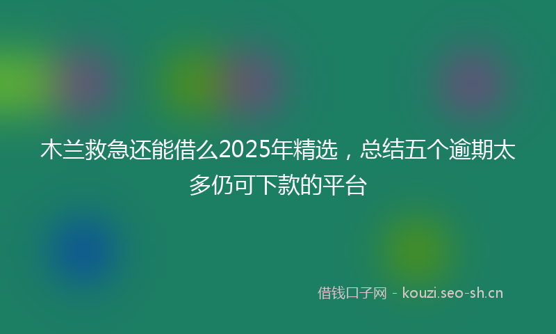 木兰救急还能借么2025年精选，总结五个逾期太多仍可下款的平台