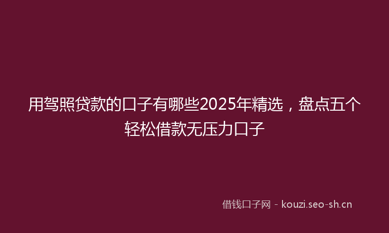 用驾照贷款的口子有哪些2025年精选，盘点五个轻松借款无压力口子