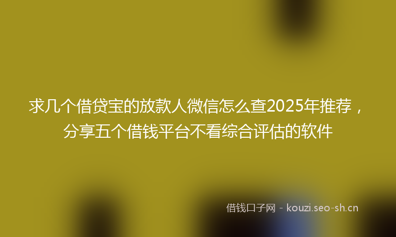 求几个借贷宝的放款人微信怎么查2025年推荐，分享五个借钱平台不看综合评估的软件