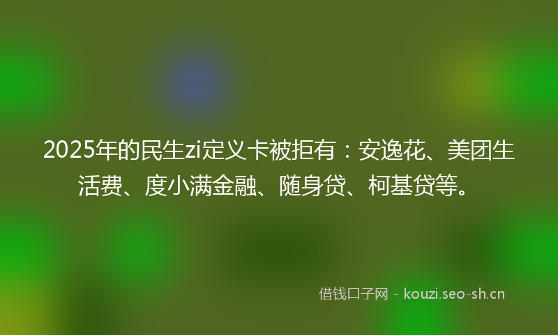 2025年的民生zi定义卡被拒有：安逸花、美团生活费、度小满金融、随身贷、柯基贷等。