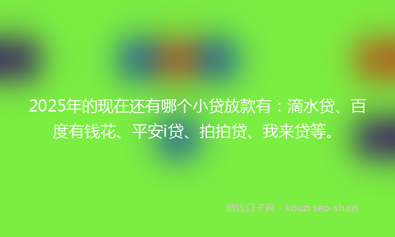 2025年的现在还有哪个小贷放款有：滴水贷、百度有钱花、平安i贷、拍拍贷、我来贷等。