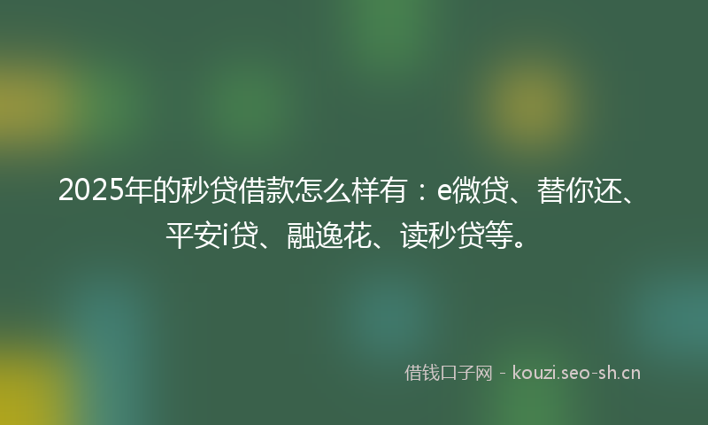 2025年的秒贷借款怎么样有：e微贷、替你还、平安i贷、融逸花、读秒贷等。