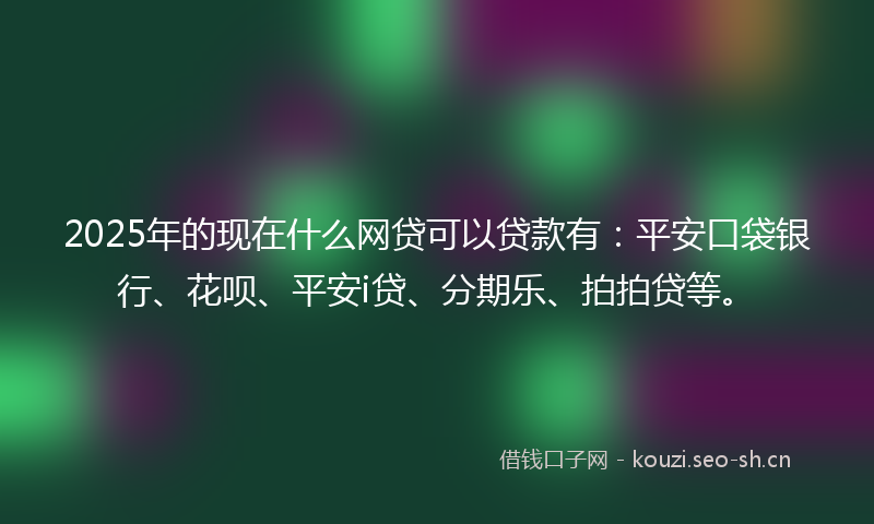 2025年的现在什么网贷可以贷款有：平安口袋银行、花呗、平安i贷、分期乐、拍拍贷等。
