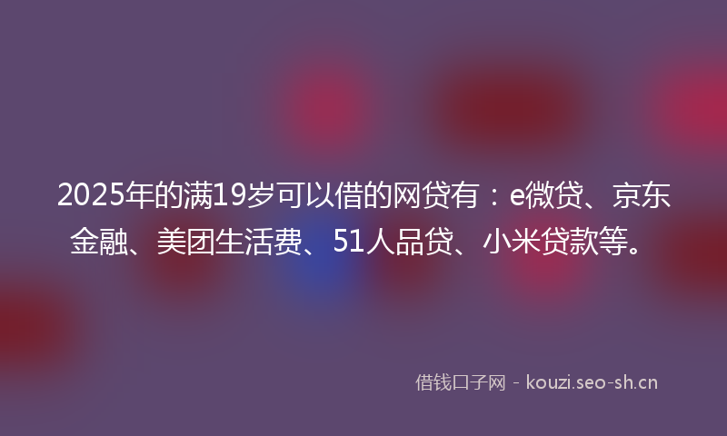 2025年的满19岁可以借的网贷有：e微贷、京东金融、美团生活费、51人品贷、小米贷款等。