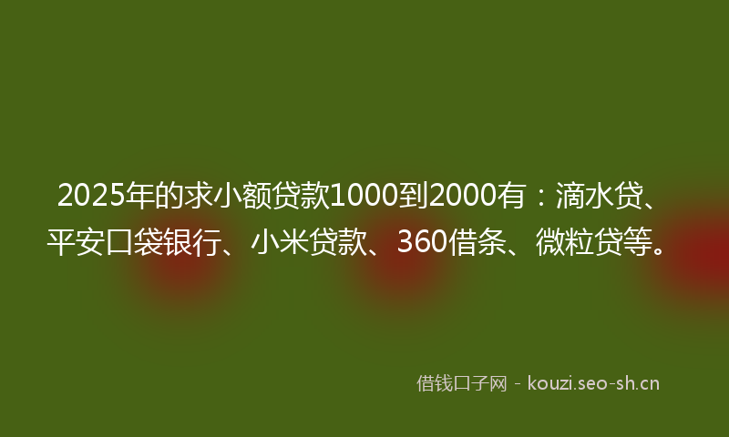 2025年的求小额贷款1000到2000有：滴水贷、平安口袋银行、小米贷款、360借条、微粒贷等。