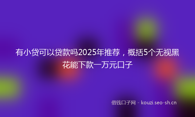 有小贷可以贷款吗2025年推荐，概括5个无视黑花能下款一万元口子