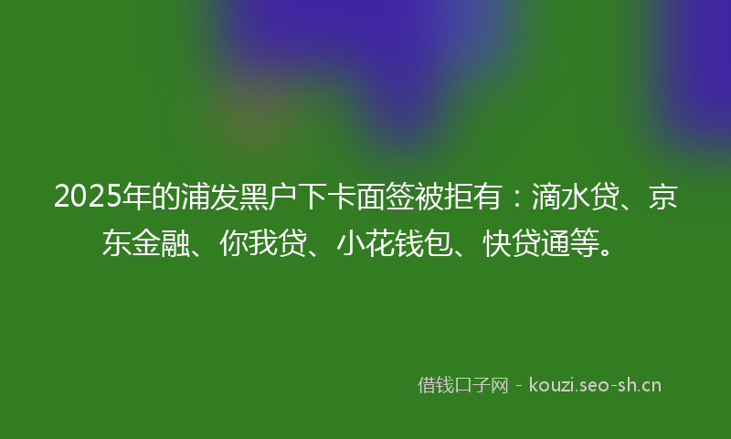 2025年的浦发黑户下卡面签被拒有：滴水贷、京东金融、你我贷、小花钱包、快贷通等。