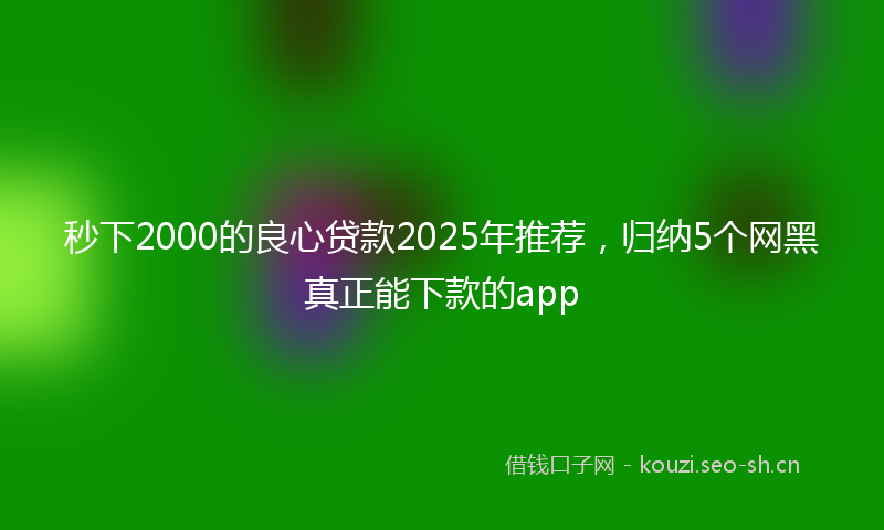 秒下2000的良心贷款2025年推荐,归纳5个网黑真正能下款的app