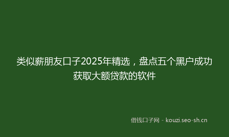 类似薪朋友口子2025年精选，盘点五个黑户成功获取大额贷款的软件