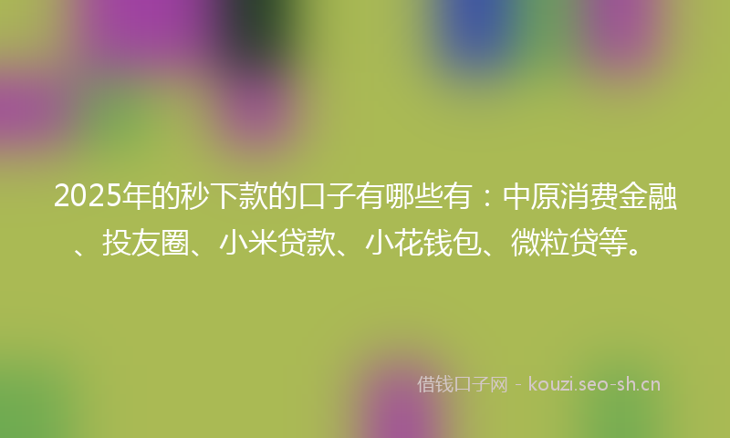 2025年的秒下款的口子有哪些有：中原消费金融、投友圈、小米贷款、小花钱包、微粒贷等。
