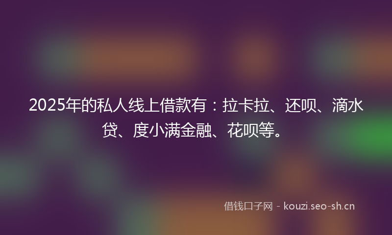 2025年的私人线上借款有：拉卡拉、还呗、滴水贷、度小满金融、花呗等。