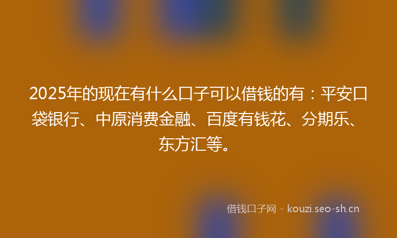 2025年的现在有什么口子可以借钱的有:平安口袋银行、中原消费金融、百度有钱花、分期乐、东方汇等。