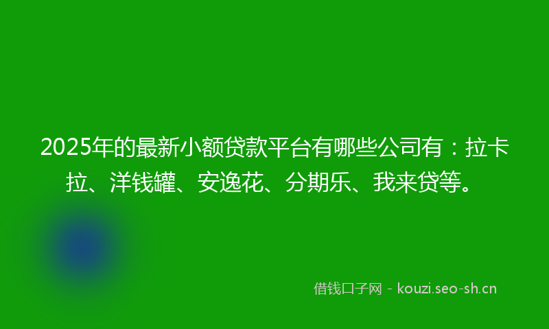 2025年的最新小额贷款平台有哪些公司有：拉卡拉、洋钱罐、安逸花、分期乐、我来贷等。