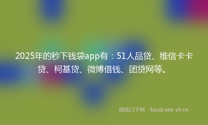 2025年的秒下钱袋app有：51人品贷、维信卡卡贷、柯基贷、微博借钱、团贷网等。