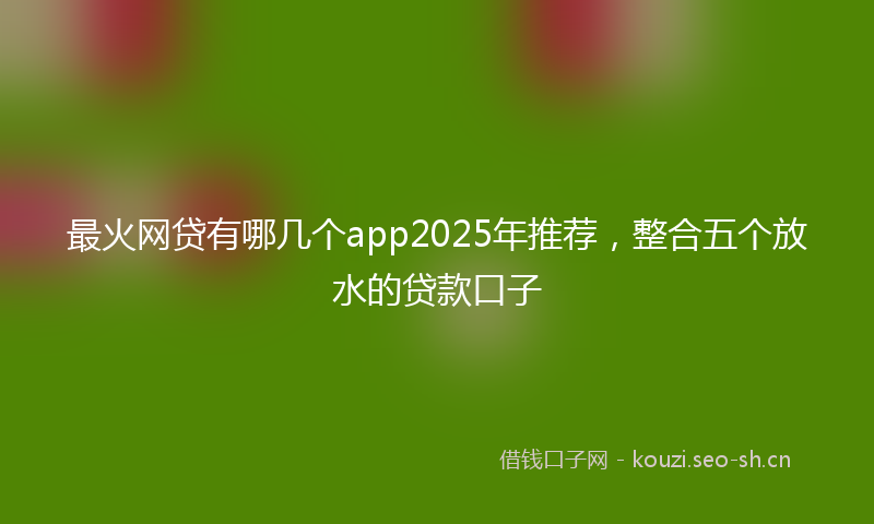 最火网贷有哪几个app2025年推荐，整合五个放水的贷款口子