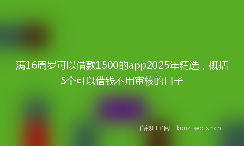 满16周岁可以借款1500的app2025年精选，概括5个可以借钱不用审核的口子