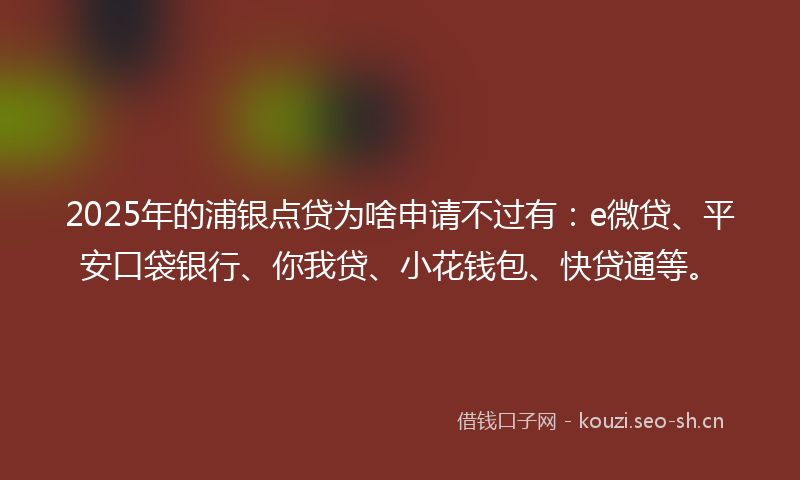 2025年的浦银点贷为啥申请不过有：e微贷、平安口袋银行、你我贷、小花钱包、快贷通等。