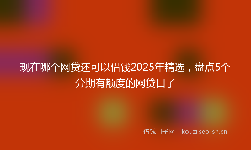 现在哪个网贷还可以借钱2025年精选，盘点5个分期有额度的网贷口子