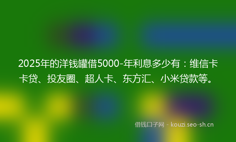 2025年的洋钱罐借5000-年利息多少有：维信卡卡贷、投友圈、超人卡、东方汇、小米贷款等。