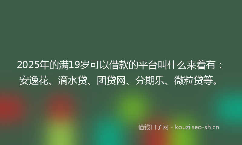 2025年的满19岁可以借款的平台叫什么来着有：安逸花、滴水贷、团贷网、分期乐、微粒贷等。