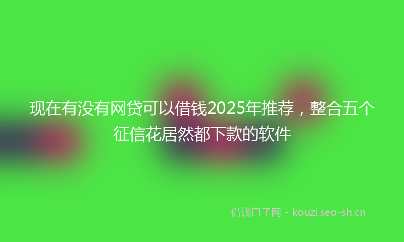 现在有没有网贷可以借钱2025年推荐，整合五个征信花居然都下款的软件
