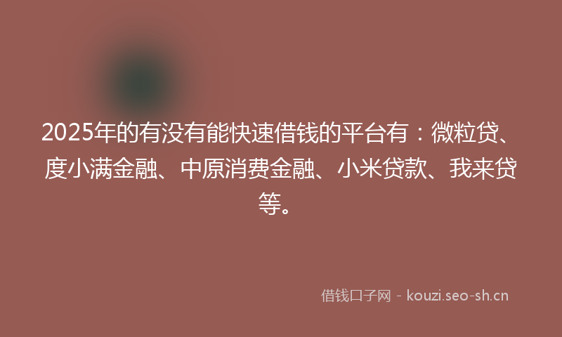 2025年的有没有能快速借钱的平台有：微粒贷、度小满金融、中原消费金融、小米贷款、我来贷等。