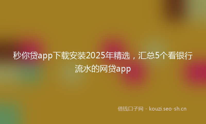 秒你贷app下载安装2025年精选，汇总5个看银行流水的网贷app