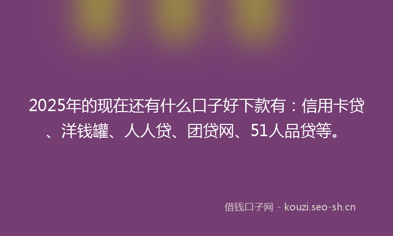 2025年的现在还有什么口子好下款有:信用卡贷、洋钱罐、人人贷、团贷网、51人品贷等。