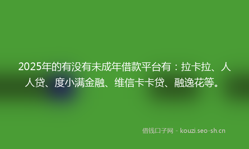 2025年的有没有未成年借款平台有：拉卡拉、人人贷、度小满金融、维信卡卡贷、融逸花等。