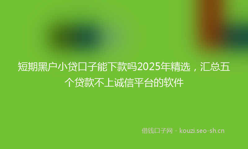 短期黑户小贷口子能下款吗2025年精选，汇总五个贷款不上诚信平台的软件