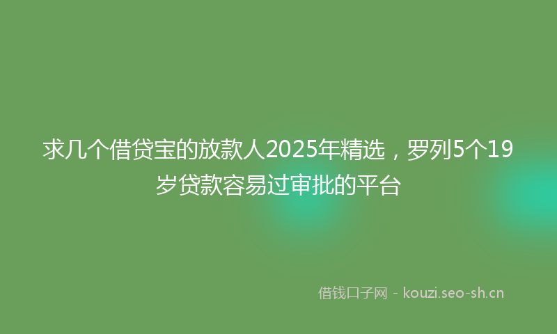 求几个借贷宝的放款人2025年精选，罗列5个19岁贷款容易过审批的平台
