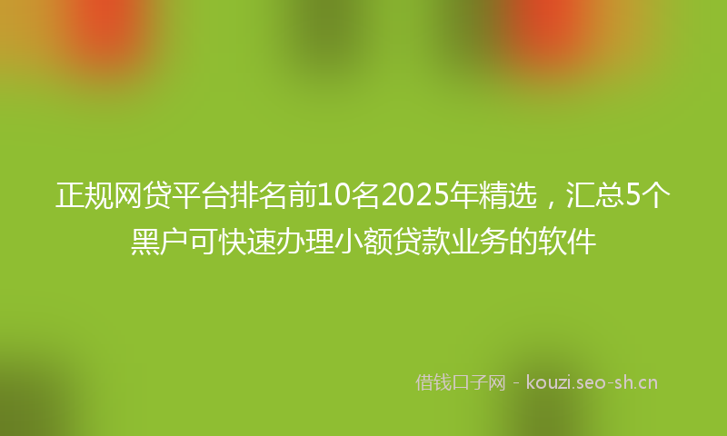 正规网贷平台排名前10名2025年精选，汇总5个黑户可快速办理小额贷款业务的软件