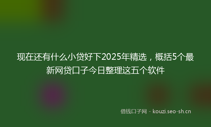 现在还有什么小贷好下2025年精选，概括5个最新网贷口子今日整理这五个软件