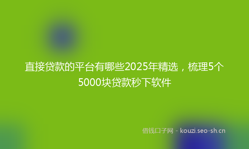 直接贷款的平台有哪些2025年精选，梳理5个5000块贷款秒下软件