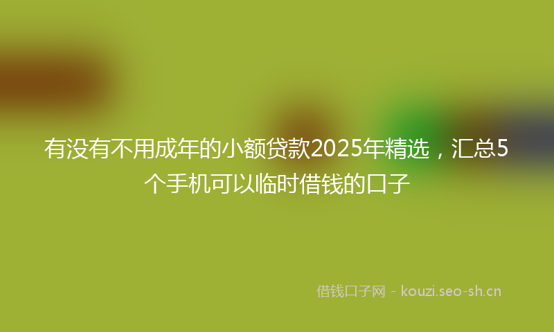 有没有不用成年的小额贷款2025年精选，汇总5个手机可以临时借钱的口子