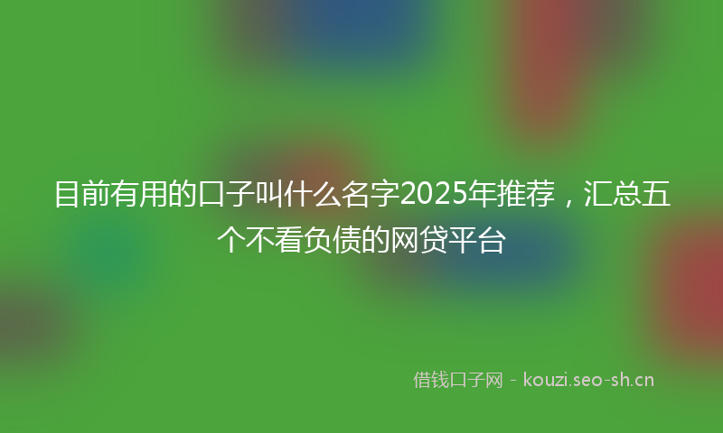 目前有用的口子叫什么名字2025年推荐，汇总五个不看负债的网贷平台