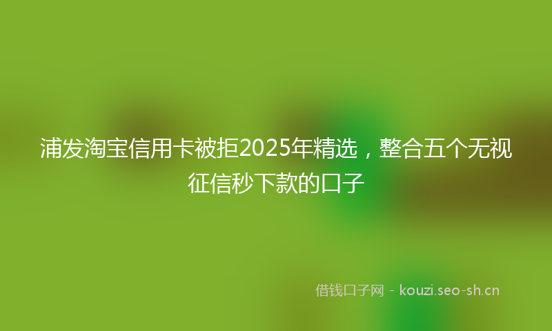 浦发淘宝信用卡被拒2025年精选，整合五个无视征信秒下款的口子