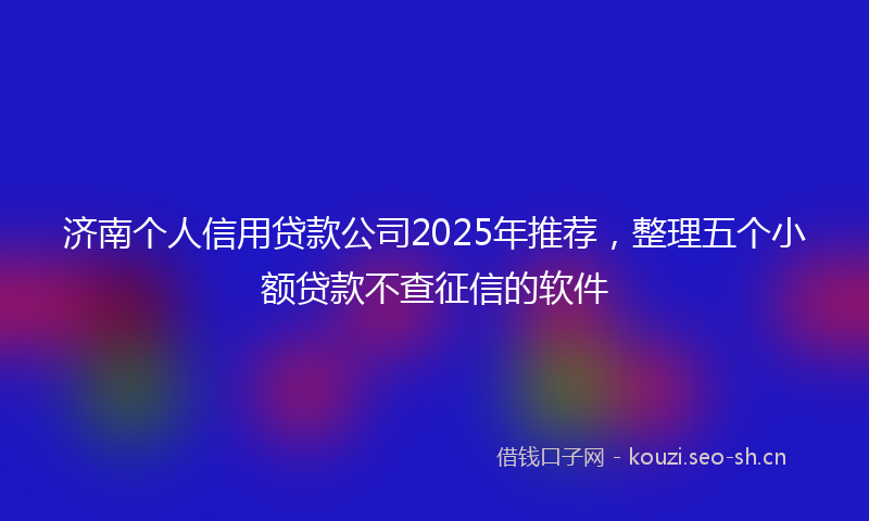济南个人信用贷款公司2025年推荐，整理五个小额贷款不查征信的软件