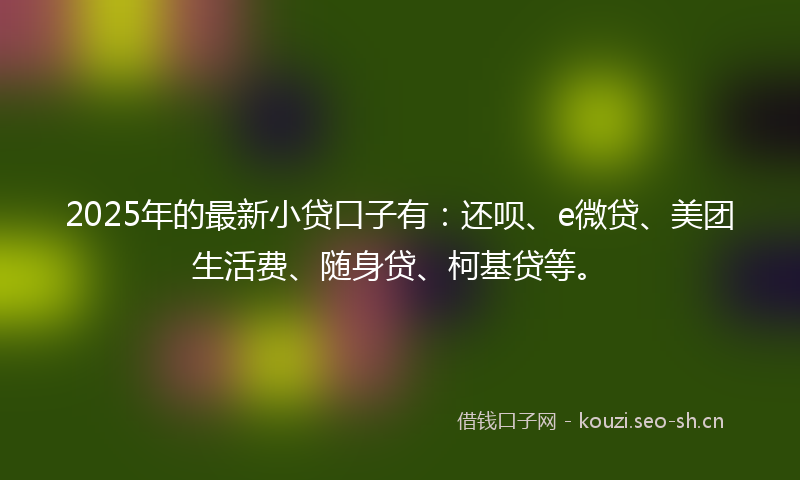 2025年的最新小贷口子有：还呗、e微贷、美团生活费、随身贷、柯基贷等。