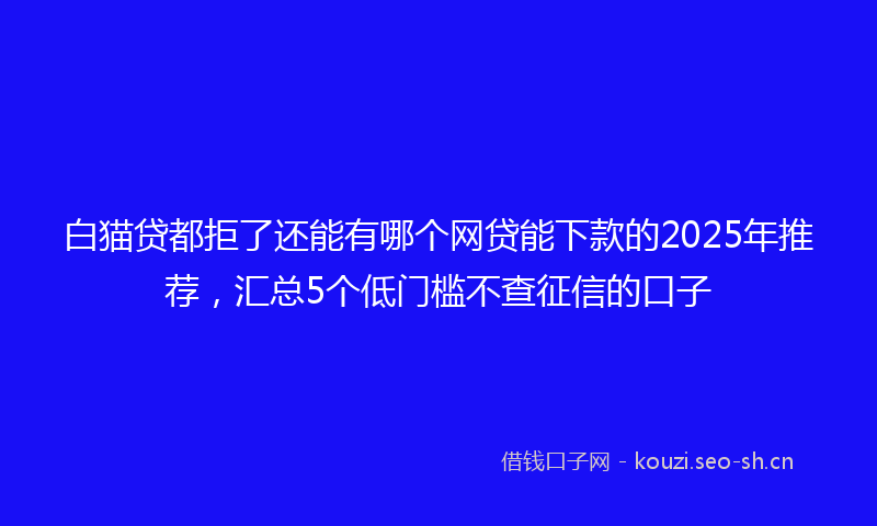 白猫贷都拒了还能有哪个网贷能下款的2025年推荐，汇总5个低门槛不查征信的口子