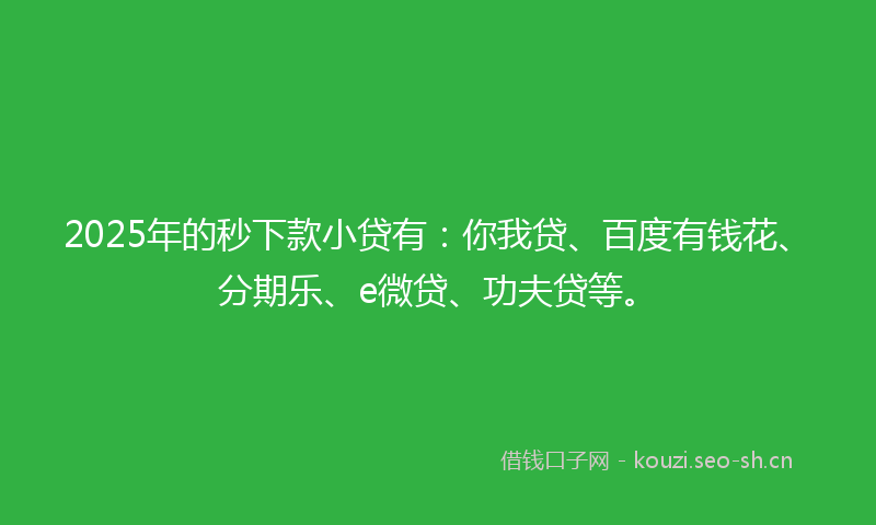 2025年的秒下款小贷有：你我贷、百度有钱花、分期乐、e微贷、功夫贷等。