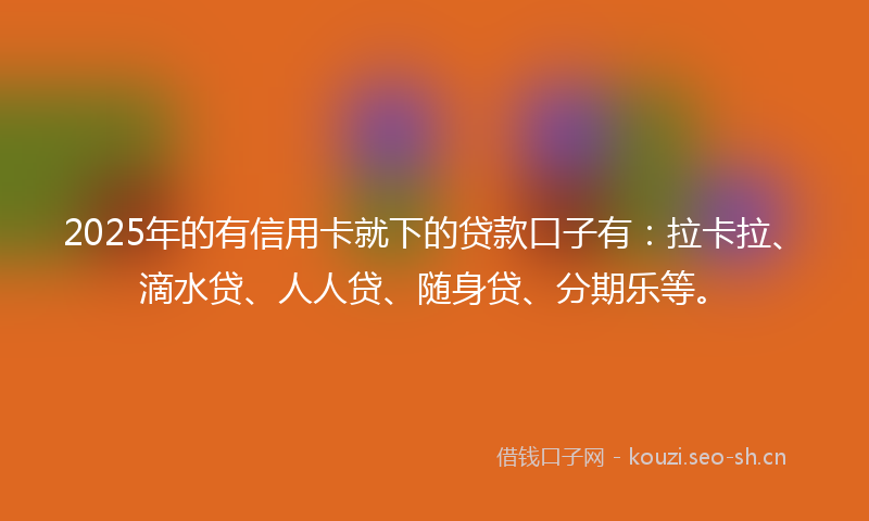 2025年的有信用卡就下的贷款口子有：拉卡拉、滴水贷、人人贷、随身贷、分期乐等。