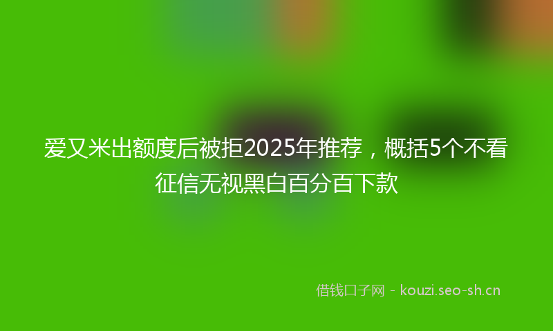 爱又米出额度后被拒2025年推荐,概括5个不看征信无视黑白百分百下款