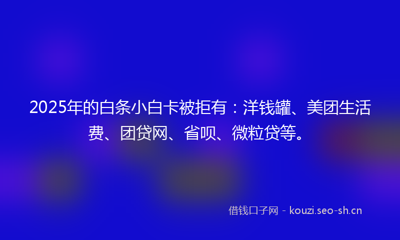 2025年的白条小白卡被拒有：洋钱罐、美团生活费、团贷网、省呗、微粒贷等。