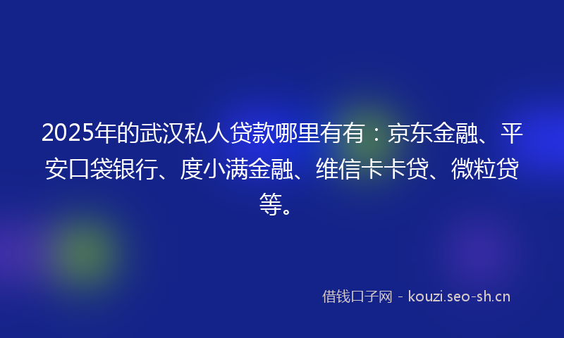 2025年的武汉私人贷款哪里有有：京东金融、平安口袋银行、度小满金融、维信卡卡贷、微粒贷等。